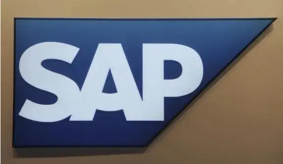 sap实施公司.png