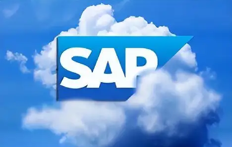 sap实施公司.png